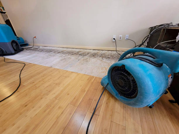 Professional Structural Drying technician working in Hampstead, NC